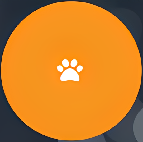 Pet Insurance
